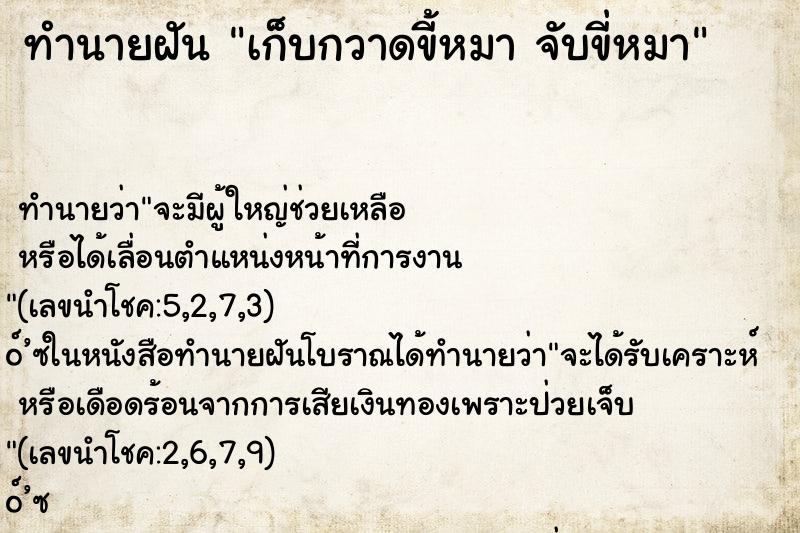 ทำนายฝัน เก็บกวาดขี้หมา จับขี่หมา ทำนายฝัน เก็บกวาดขี้หมา จับขี่หมา